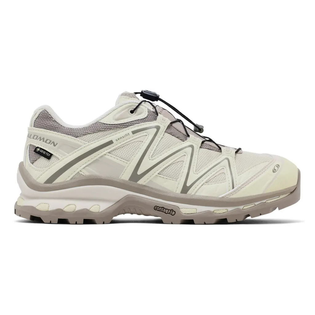 超美品　Salomon XTEND ASI FIT ゴーグル Salomon XT-6 'Ghost Grey Grey Flannel' 474448 | eBay