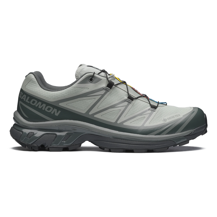 Salomon Men's XT-6 Gore-Tex Wrought Iron/Urban Chic/Sedona Sage