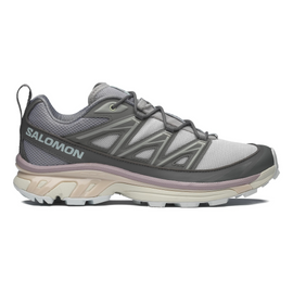 Salomon Men's XT-6 Lunar Rock/Castlerock/Ballad Blue