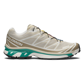 Salomon Men's XT-6 Rainy Day/Chinchilla/Dynasty Green