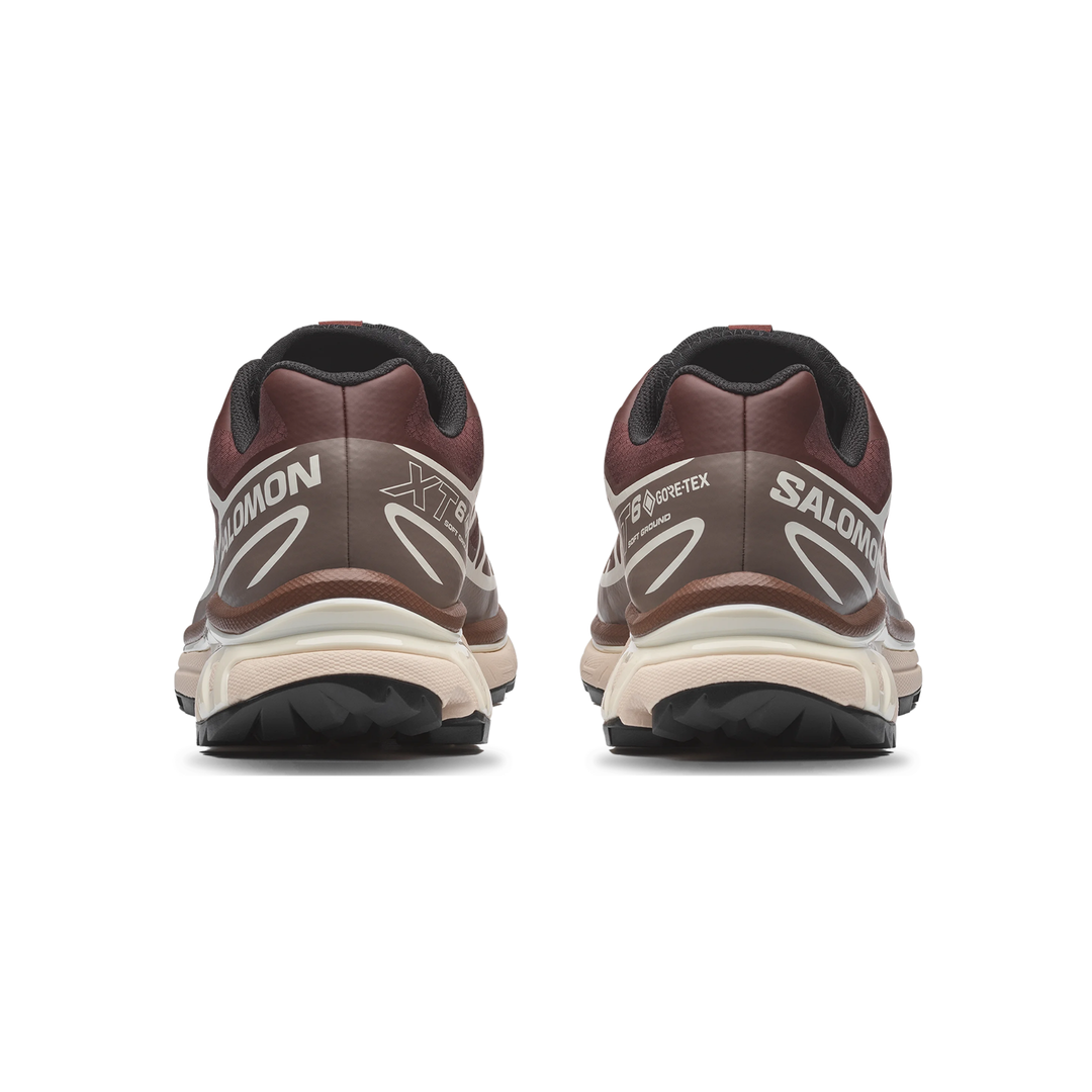 XT-6 GTX Bitter Chocolate / Iron / Vanilla Ice